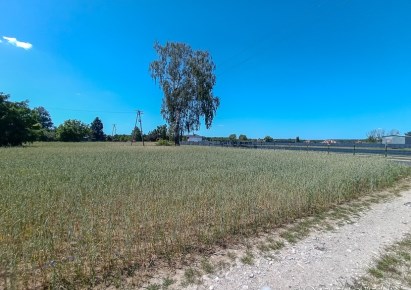działka na sprzedaż - Ciechocin, Elgiszewo