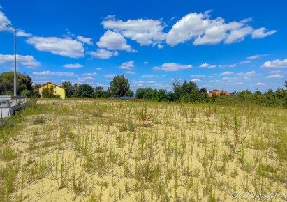 działka na sprzedaż - Radziejów